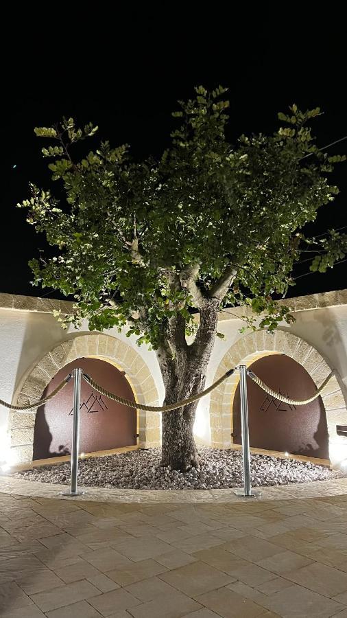 Quei Trulli Divini Bed & Breakfast มาร์ตินาฟรังกา ภายนอก รูปภาพ
